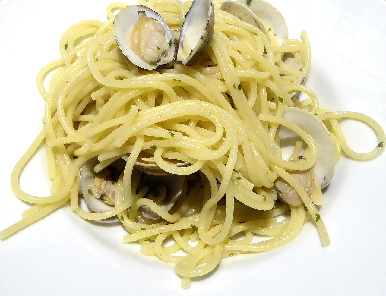 spaghetti fresh clams seafood free photo