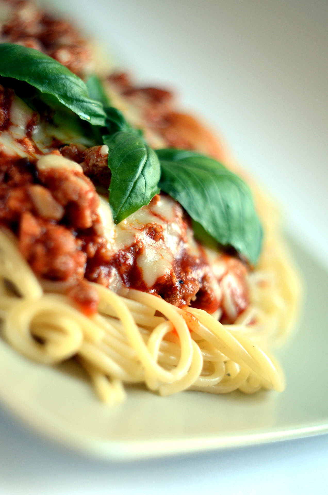 italiano spaghetti bolognese free photo