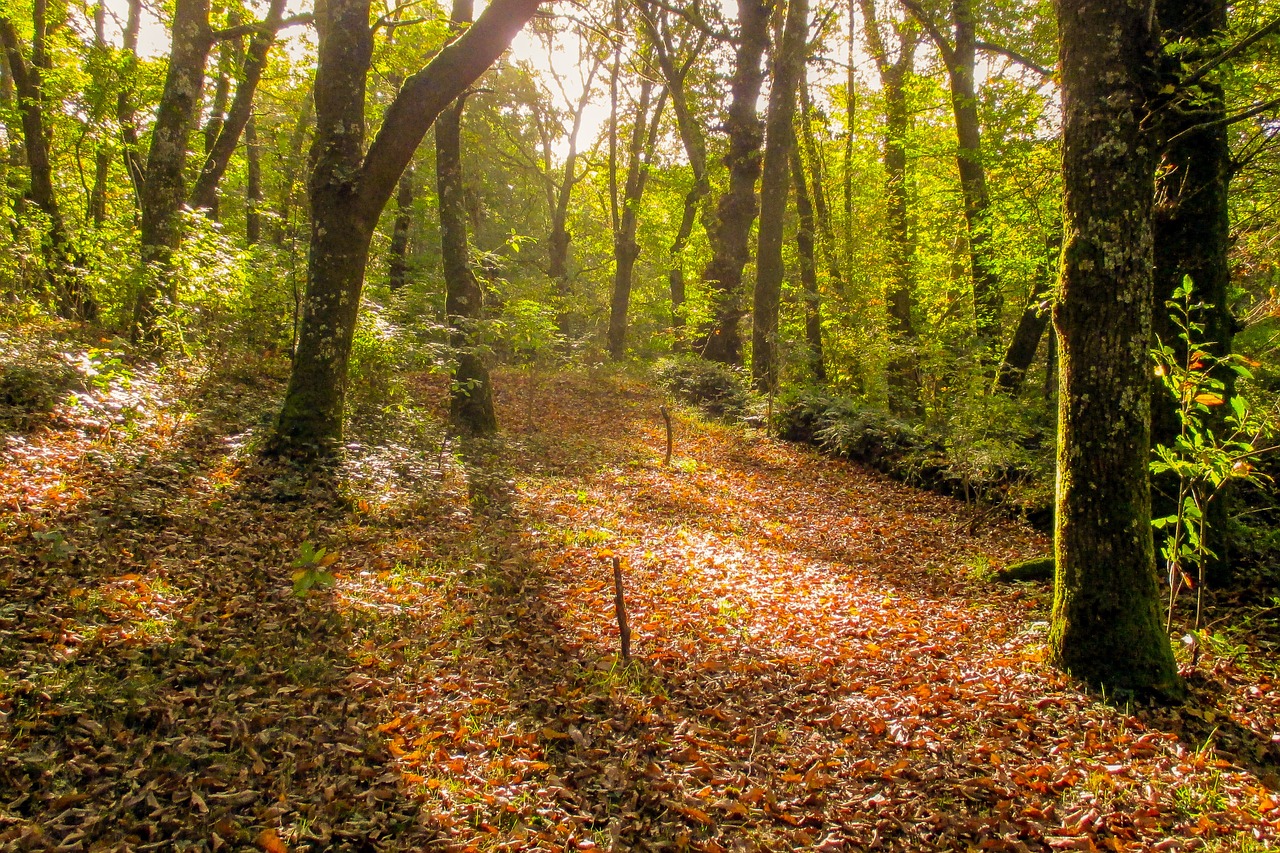 spain galicia landscape free photo