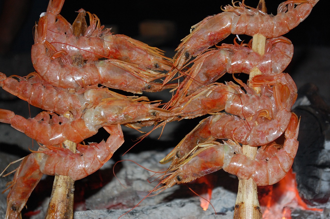 spain andalusia shrimps free photo