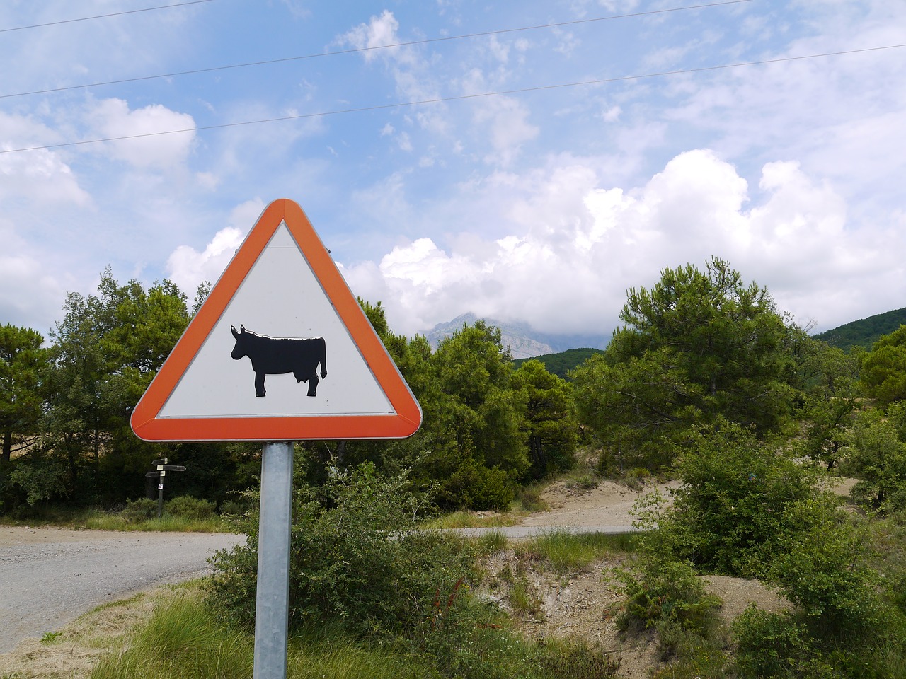 spain sign bull free photo