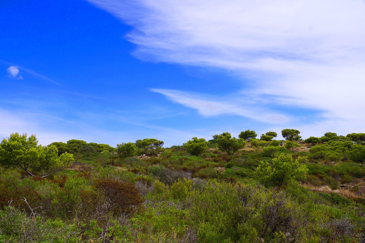 spain sea green free photo