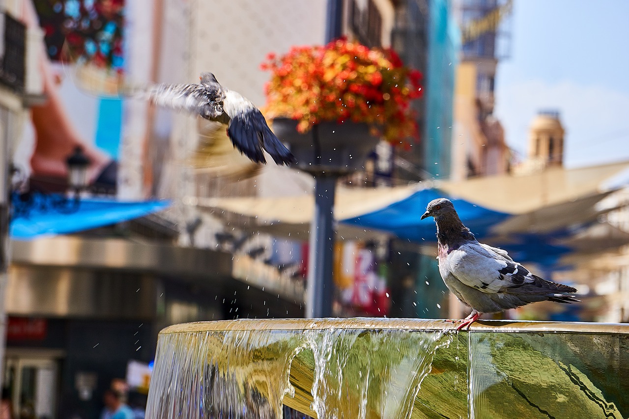 spain madrid fountain free photo