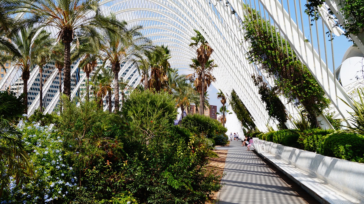 spain valencia plants free photo