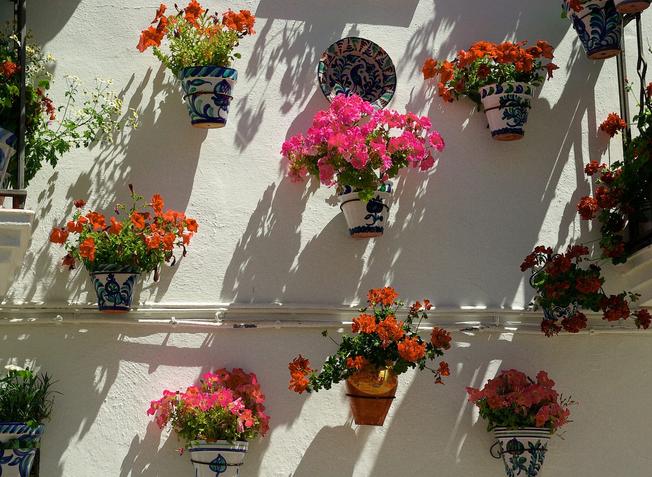 spain andalusia floral walls free photo