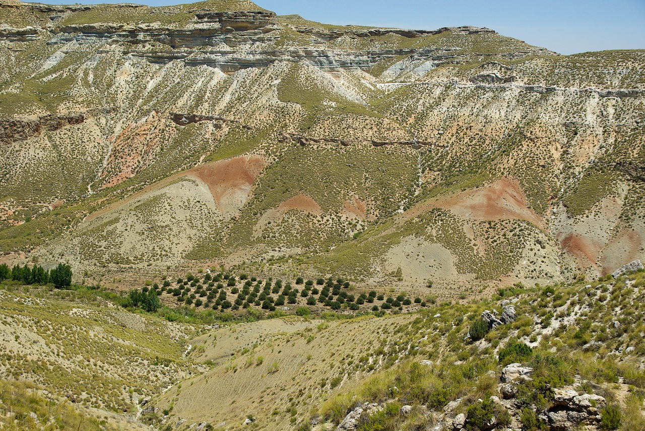 spain andalusia drought free photo