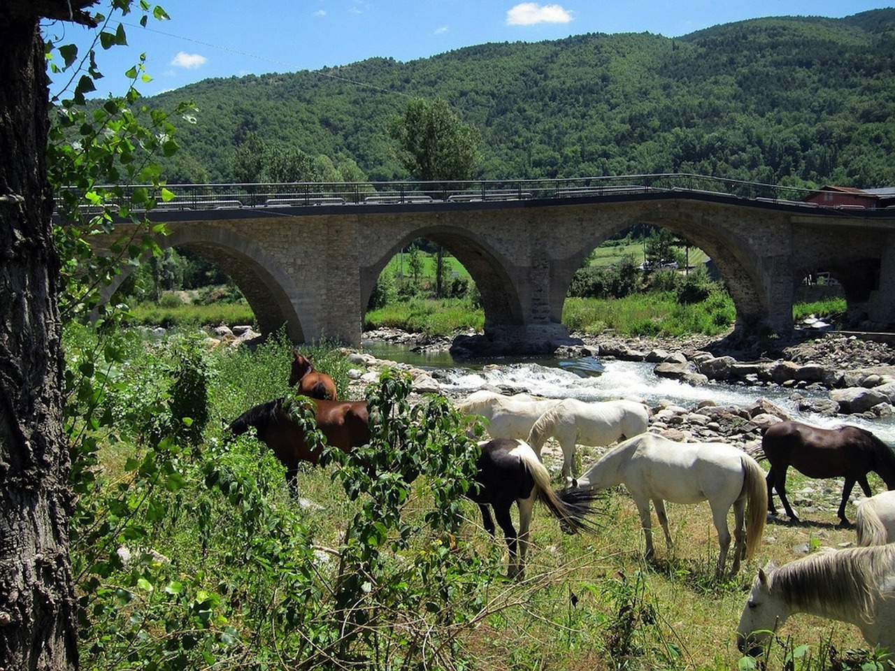 spain landscape bridge free photo