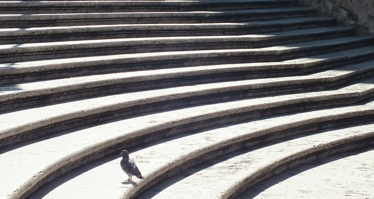spanish steps pigeon rome free photo