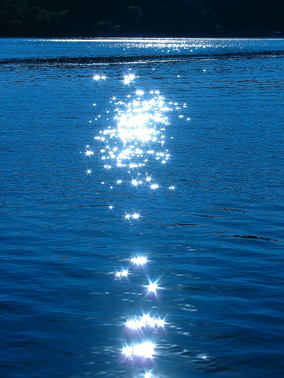 sparkles water surface water free photo