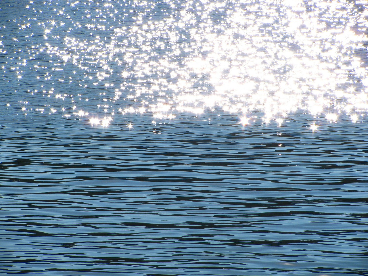 sparkles water surface water free photo