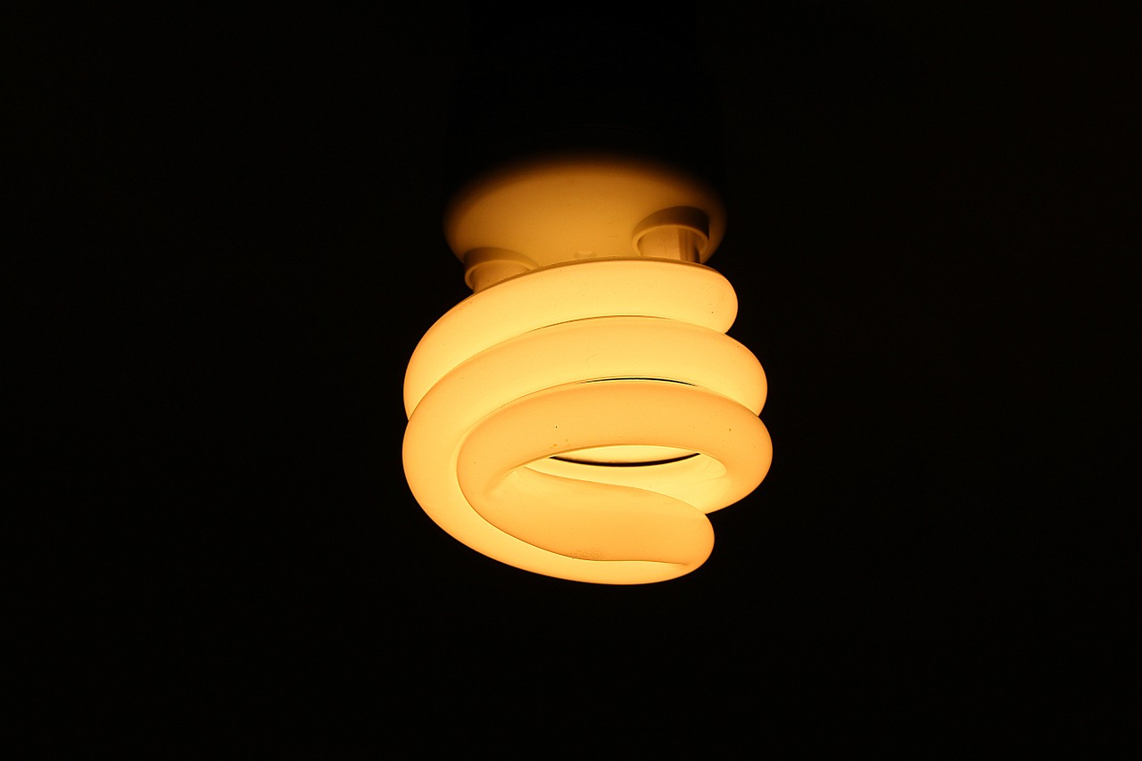 sparlampe bulbs lamp free photo