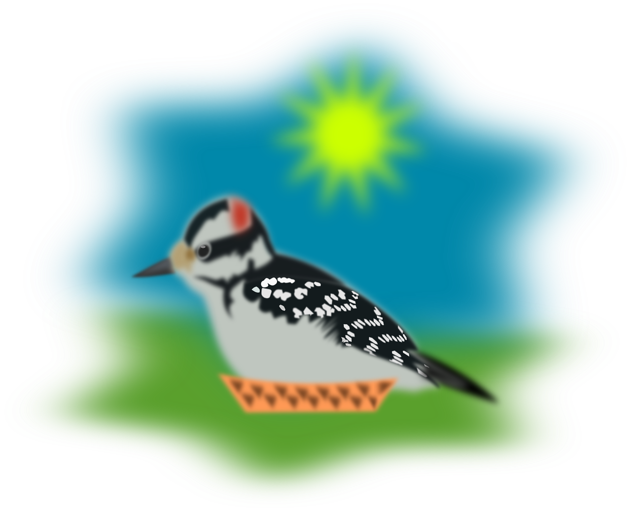 sparrow pecker woodpecker free photo