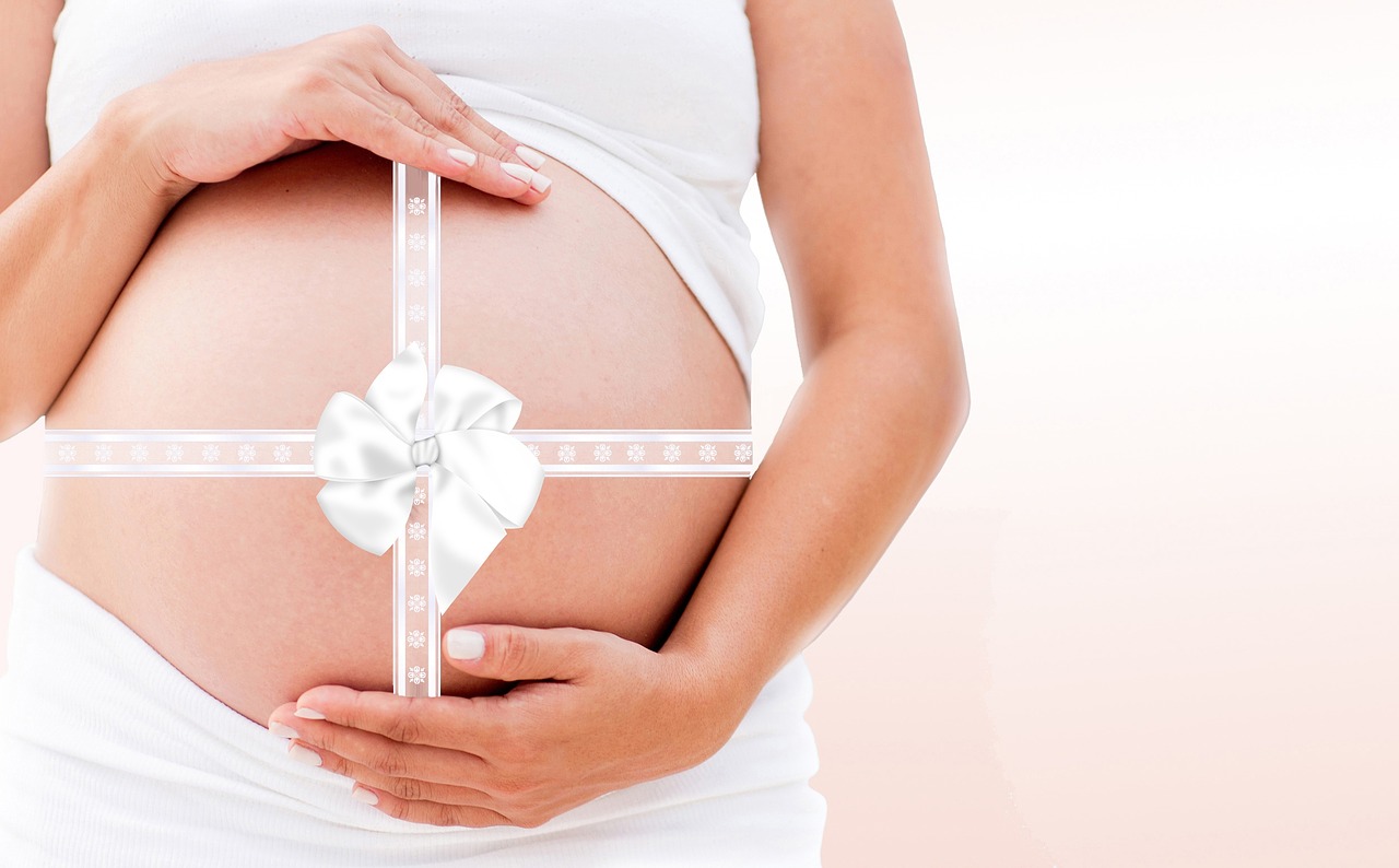 speaker pregnancy belly free photo