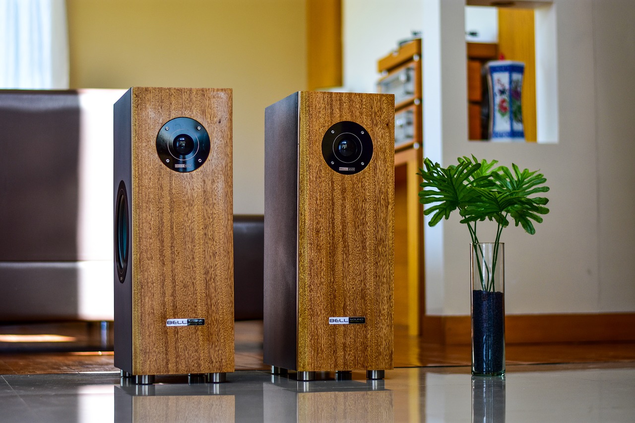 speakers  wood  elegant free photo