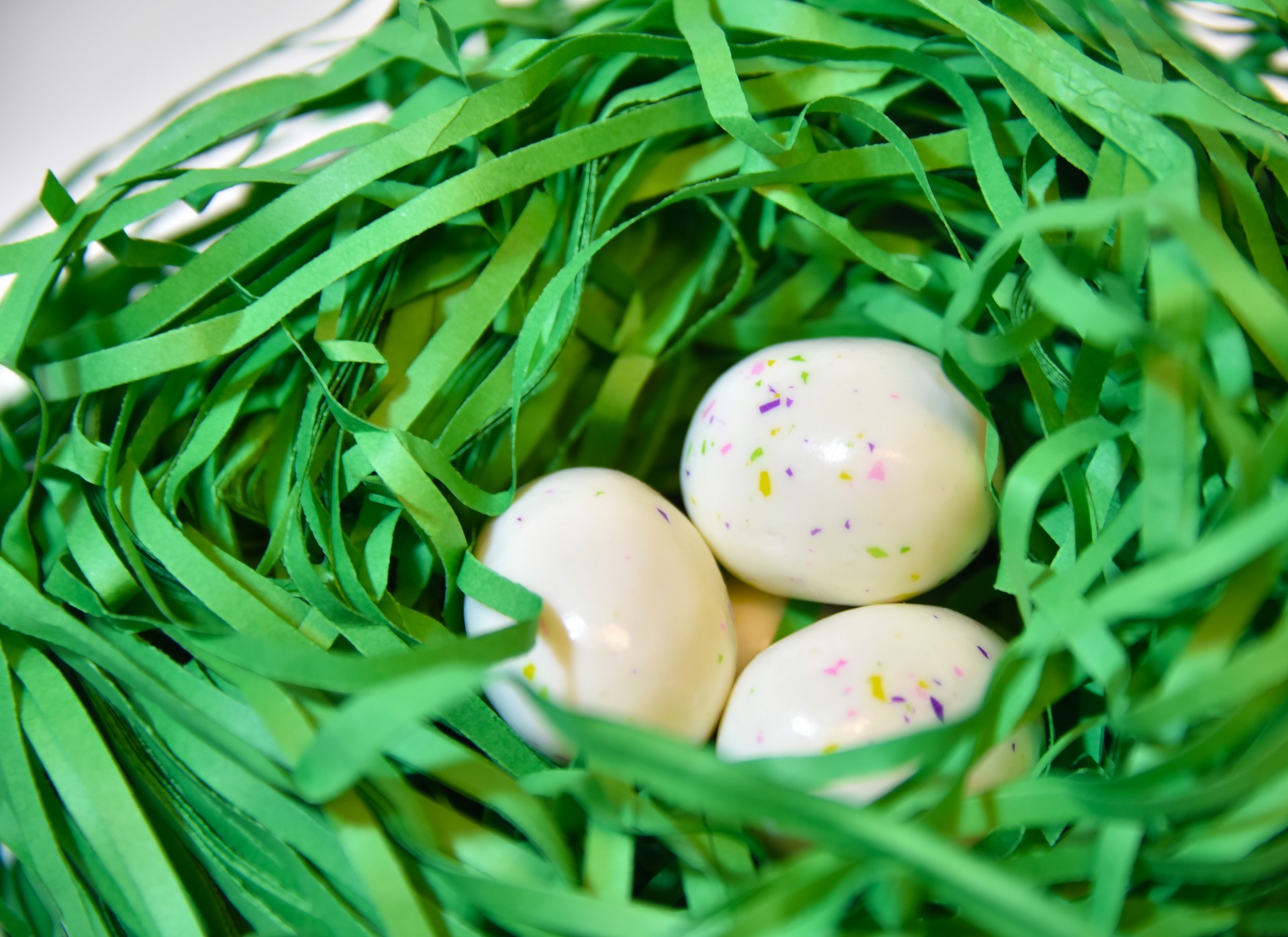 easter eggs green free photo
