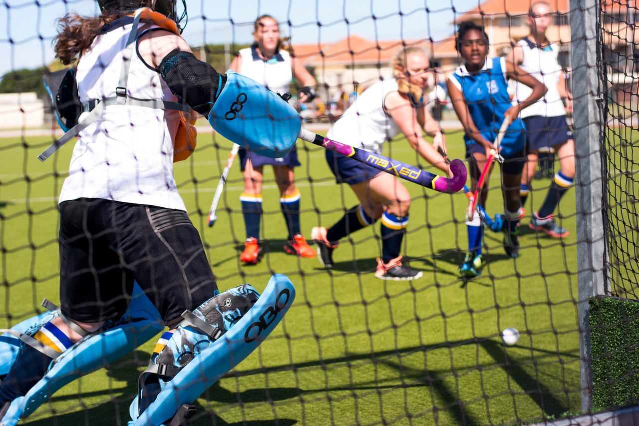 speed hockey action free photo