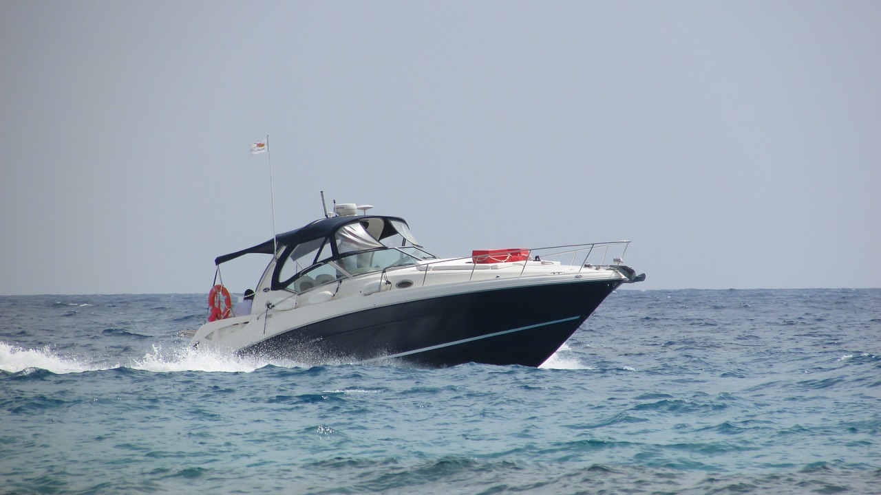 speed boat sea speed free photo