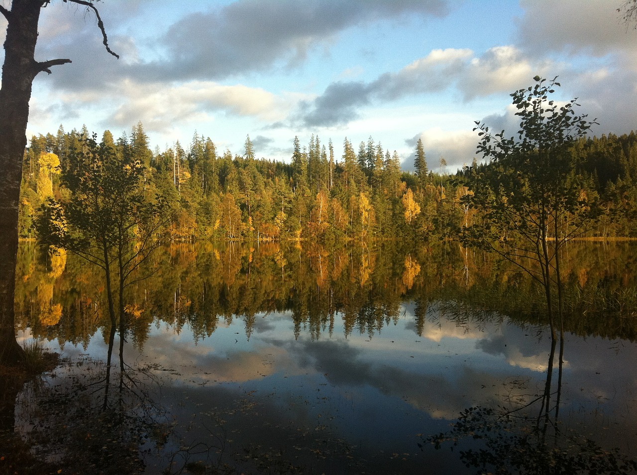 spegelsjö landscapes autumn free photo