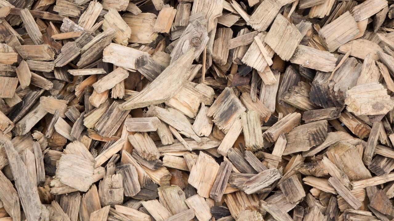 sawdust spehne wood free photo
