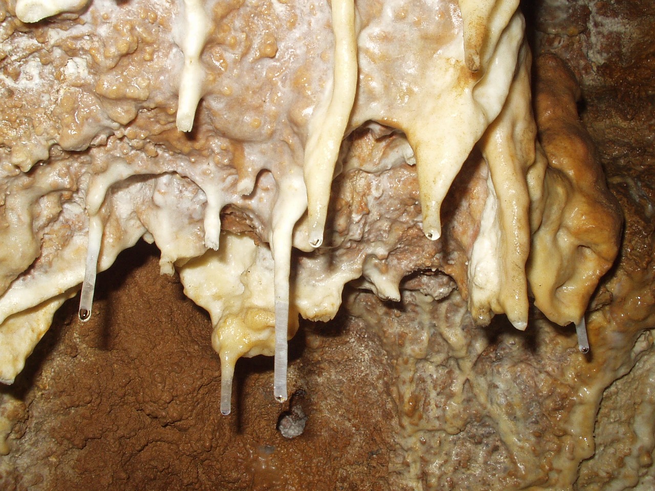 speleothems cave drip free photo
