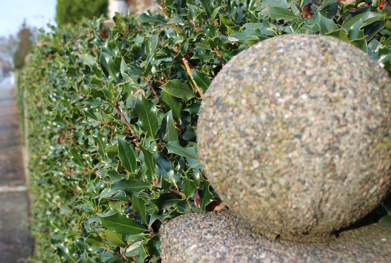 Sphere,stone balls,hedge fence,green,leaves - free image from needpix.com