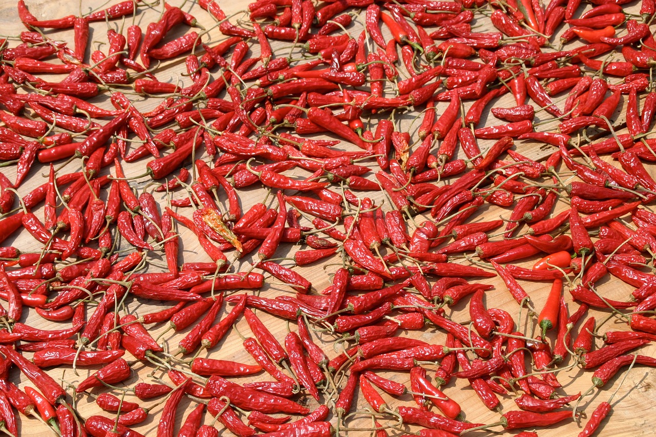 spice chili sharp free photo