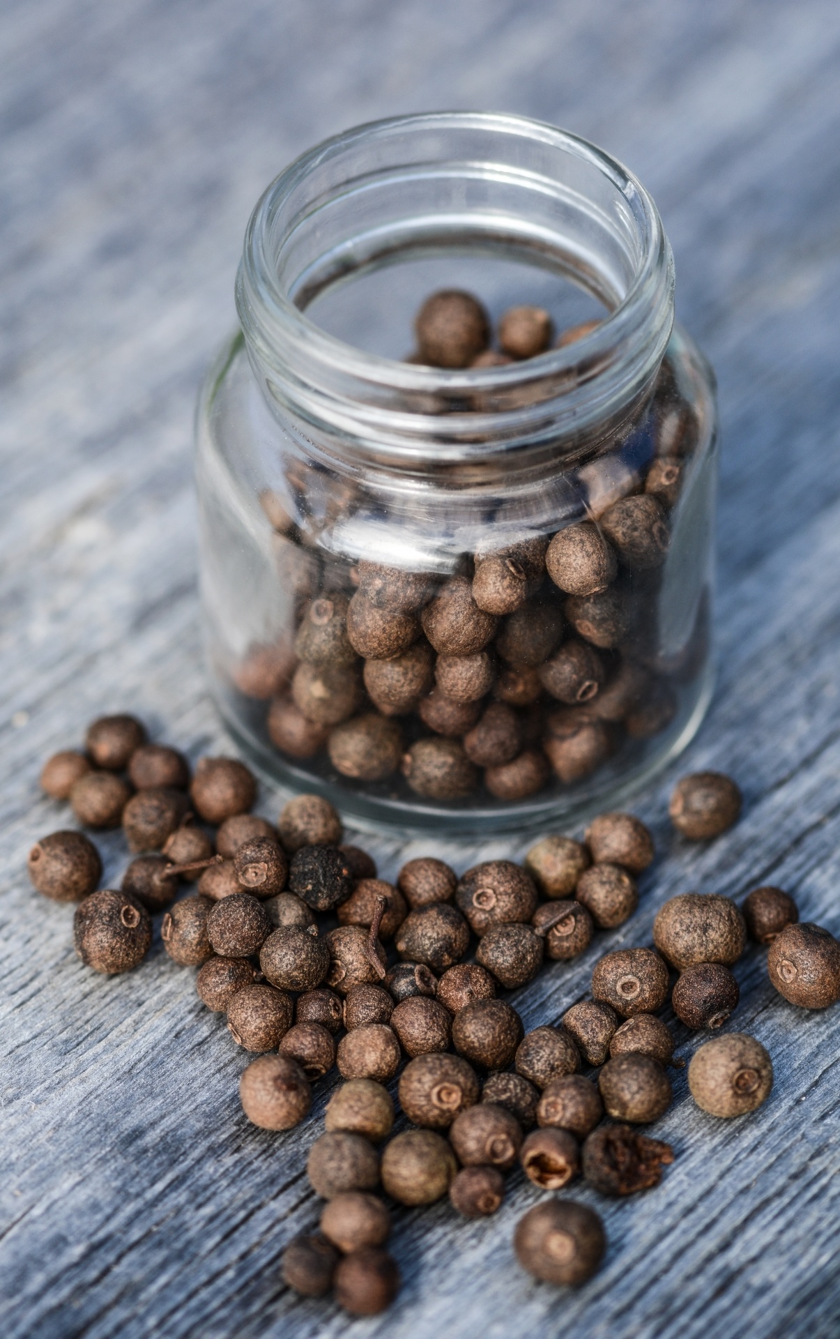 spices jar kitchen free photo