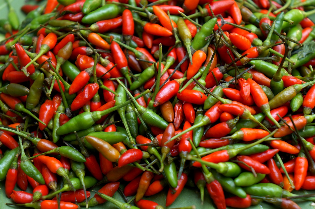 spices red pepper green peppers free photo