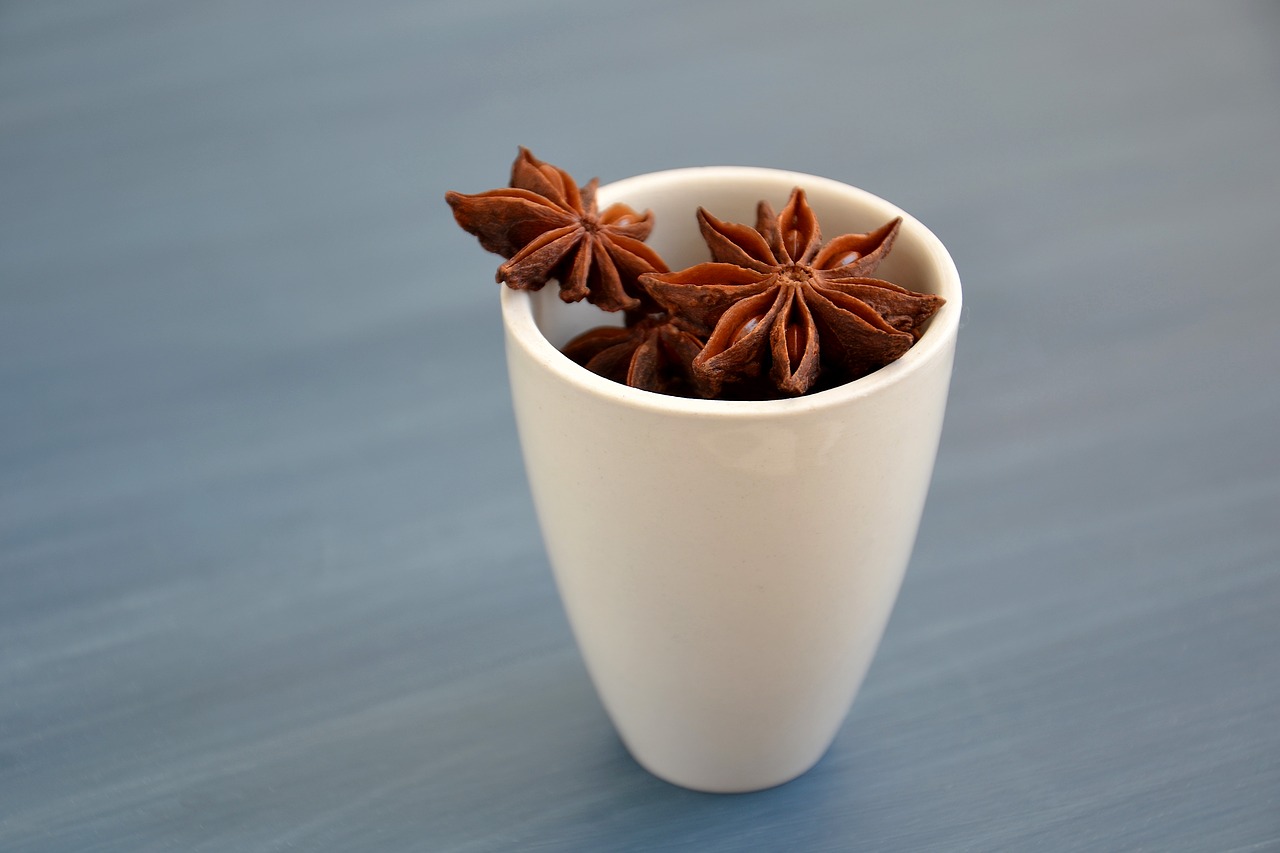 spices anise star anise free photo