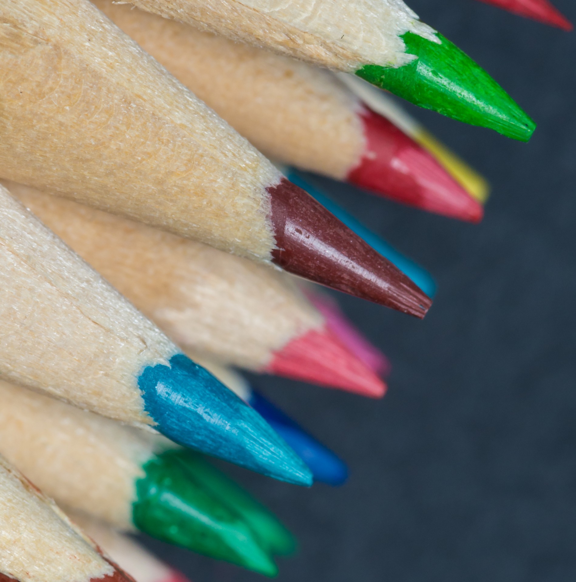 crayons colors lines free photo