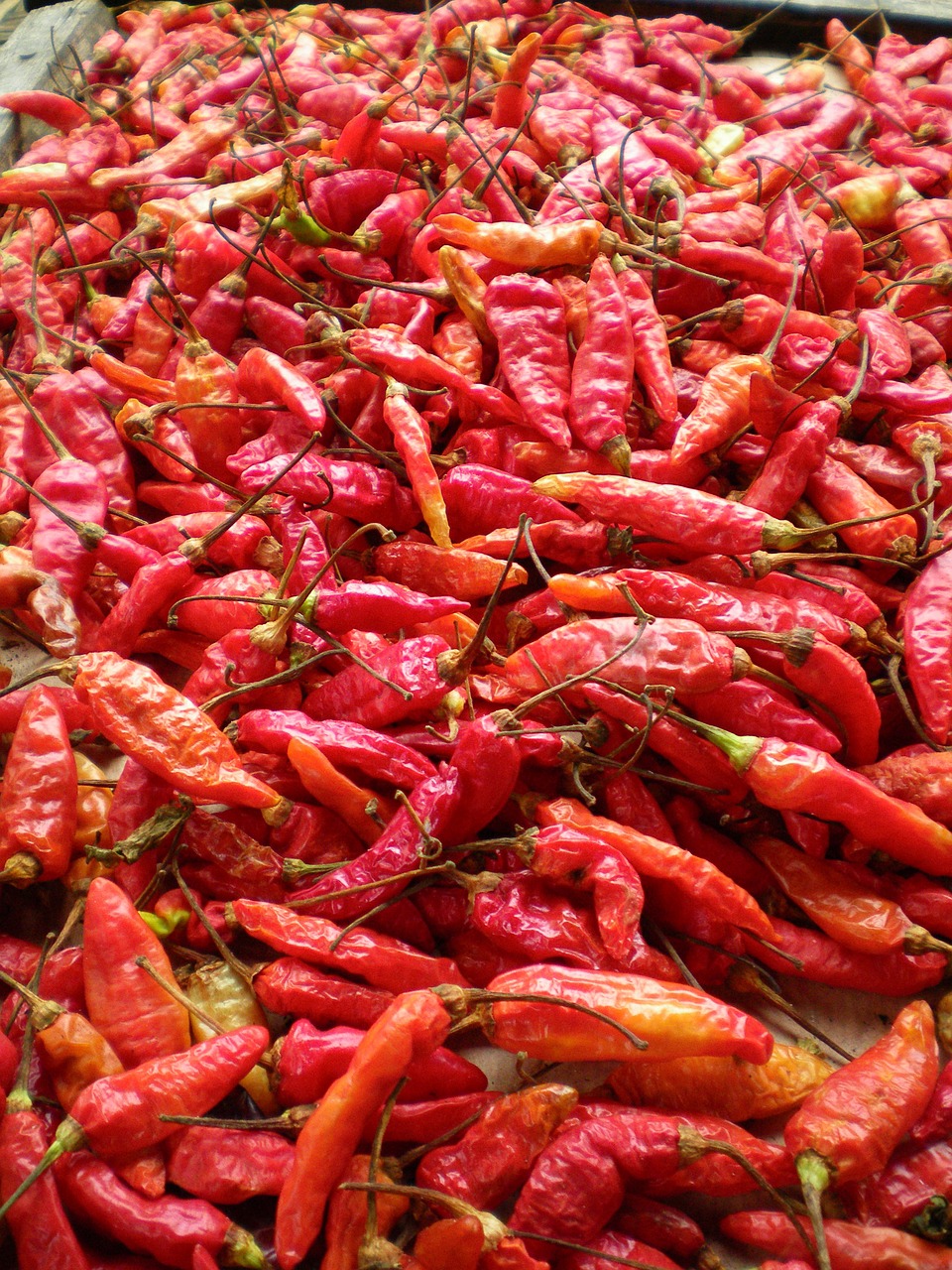 spicy red hot free photo