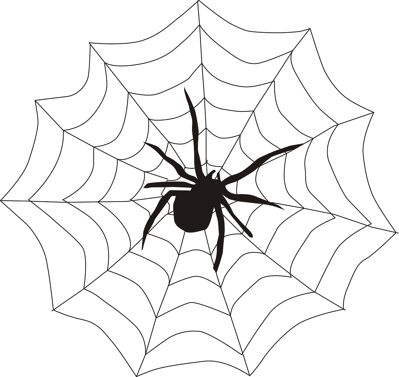 spider spider's web spiderweb free photo