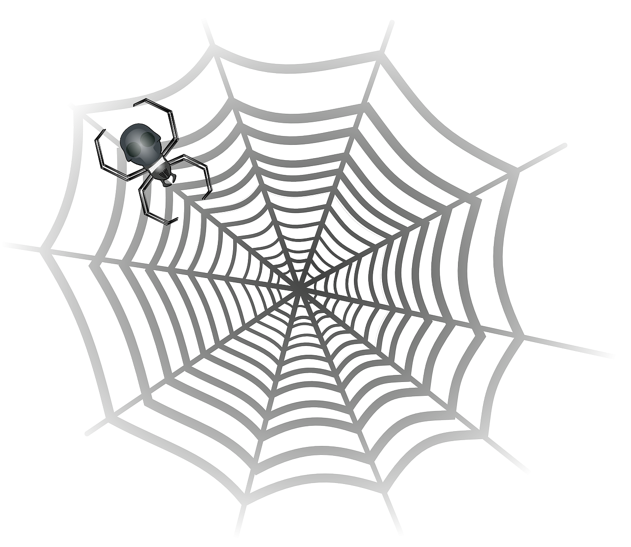 spider cobweb spider web free photo