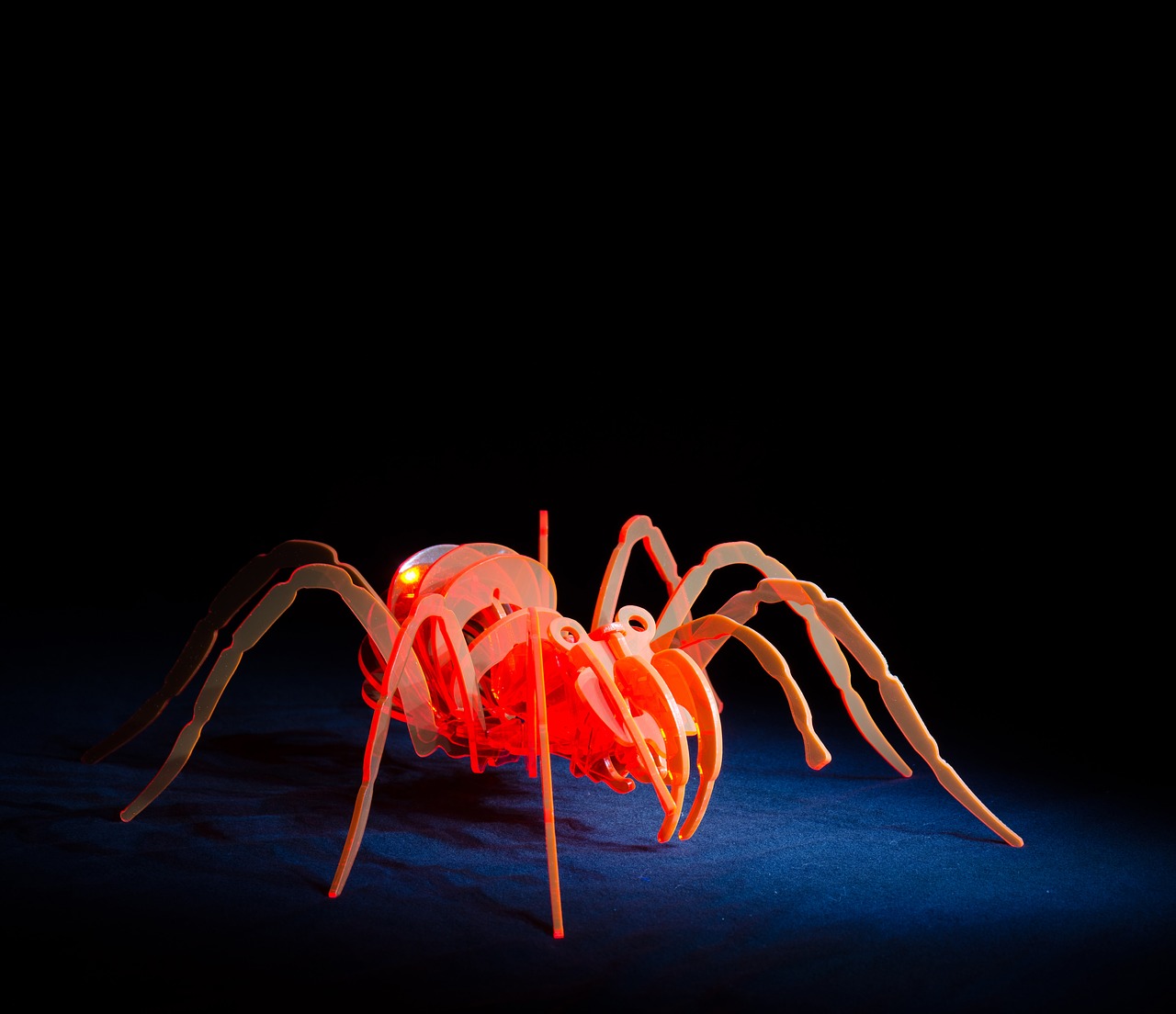 spider acrylic light painting free photo