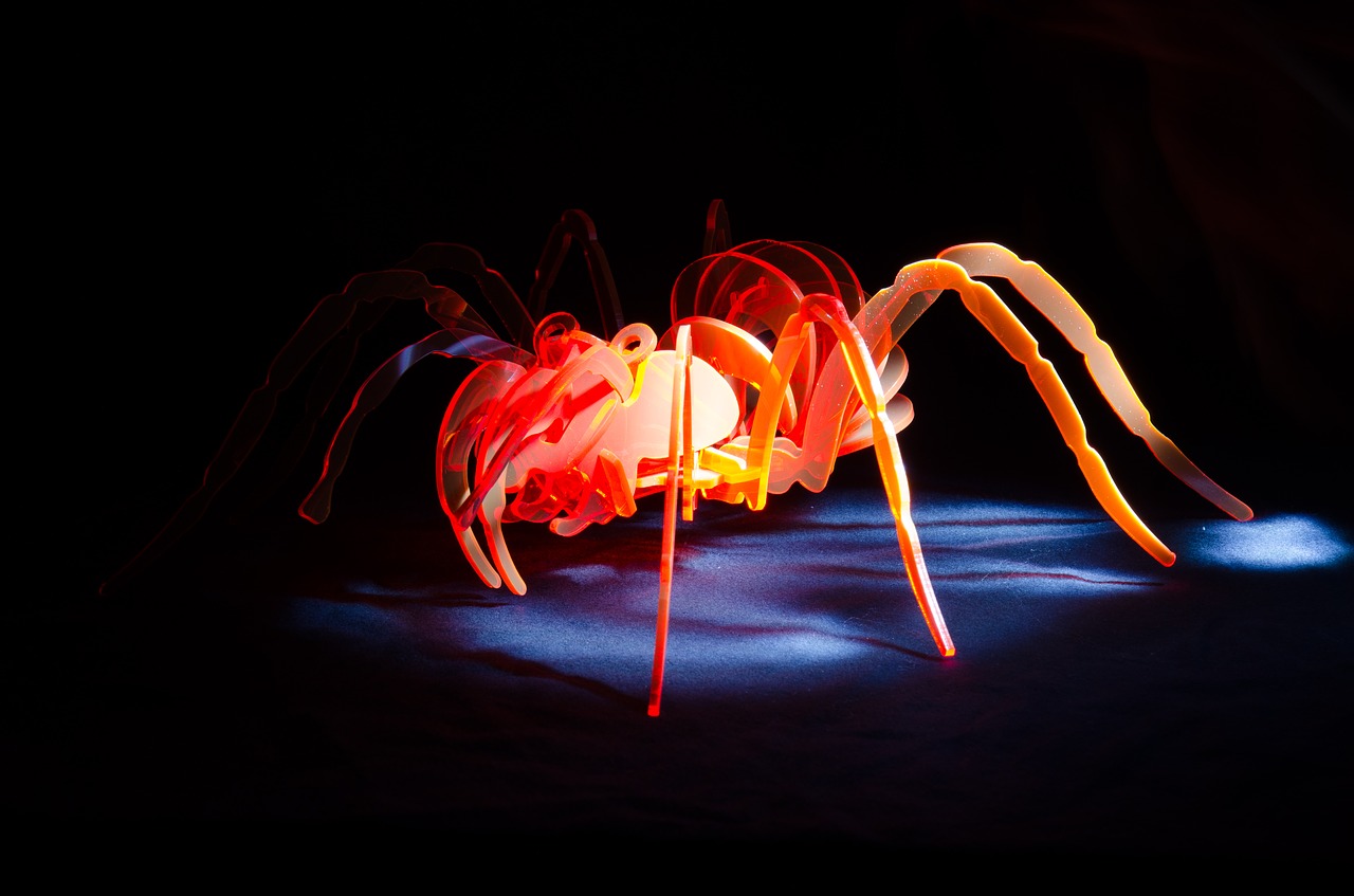 spider acrylic light painting free photo