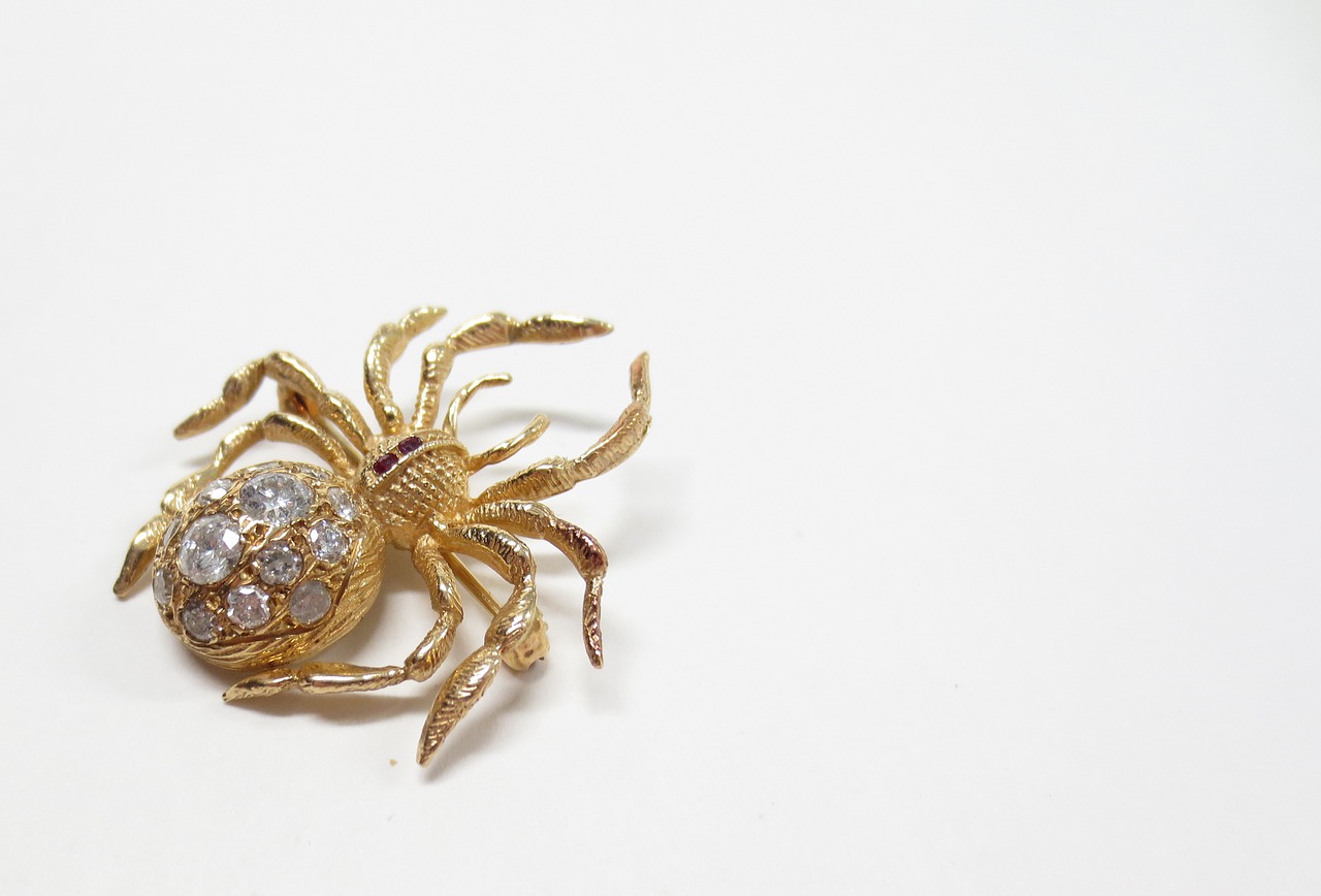 spider pin brooch free photo