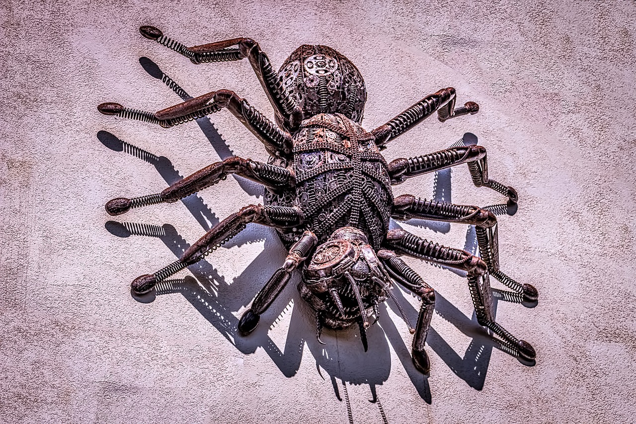 spider giant arachnid free photo