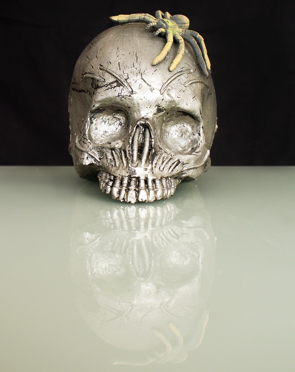 spider skull and crossbones skull free photo