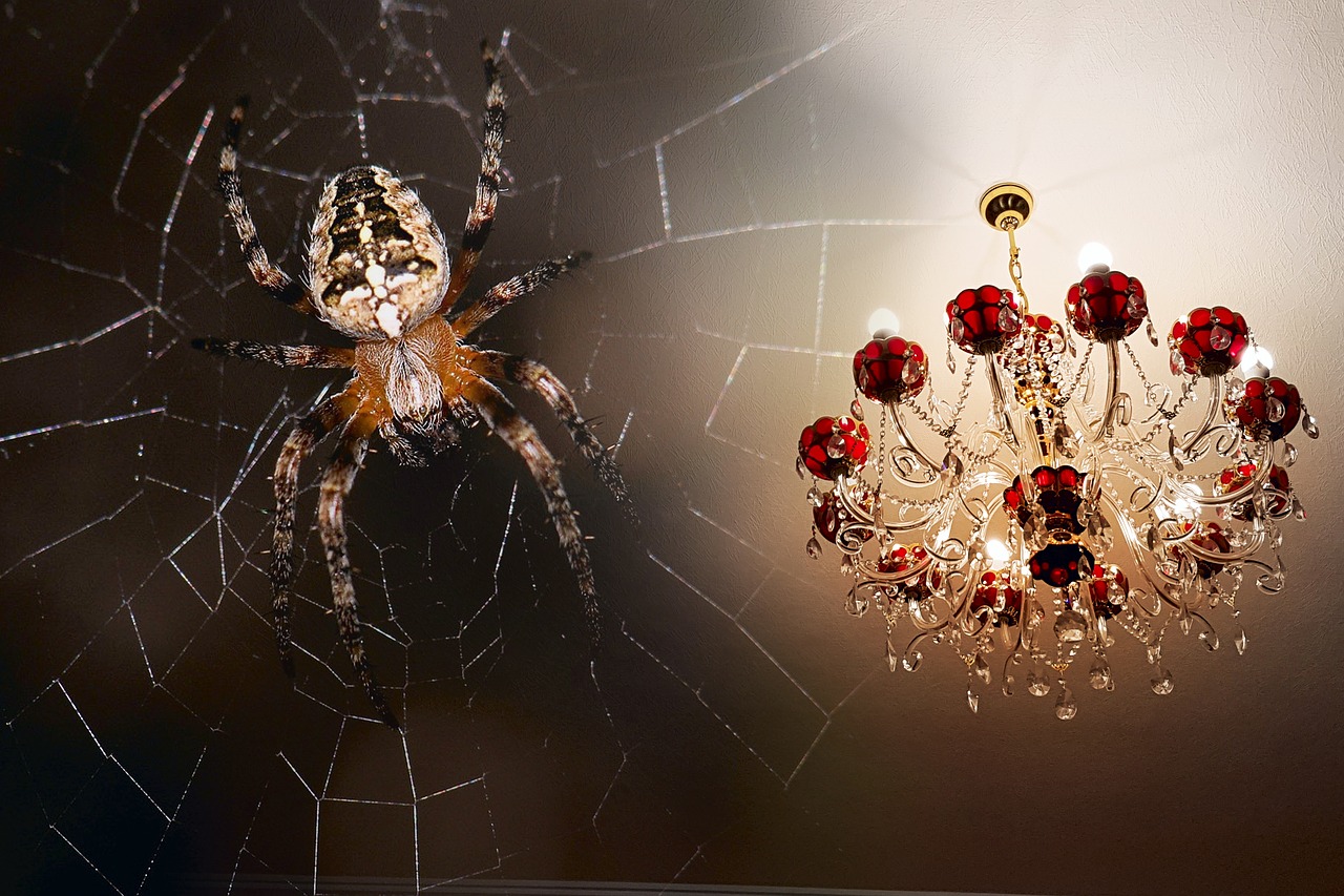 spider  chandelier  macro free photo