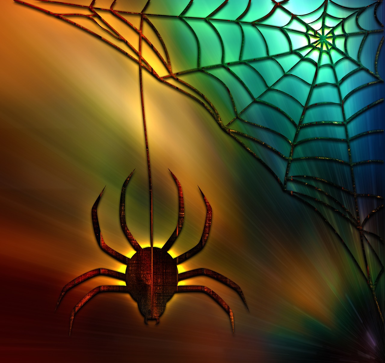 spider  web  cobweb free photo