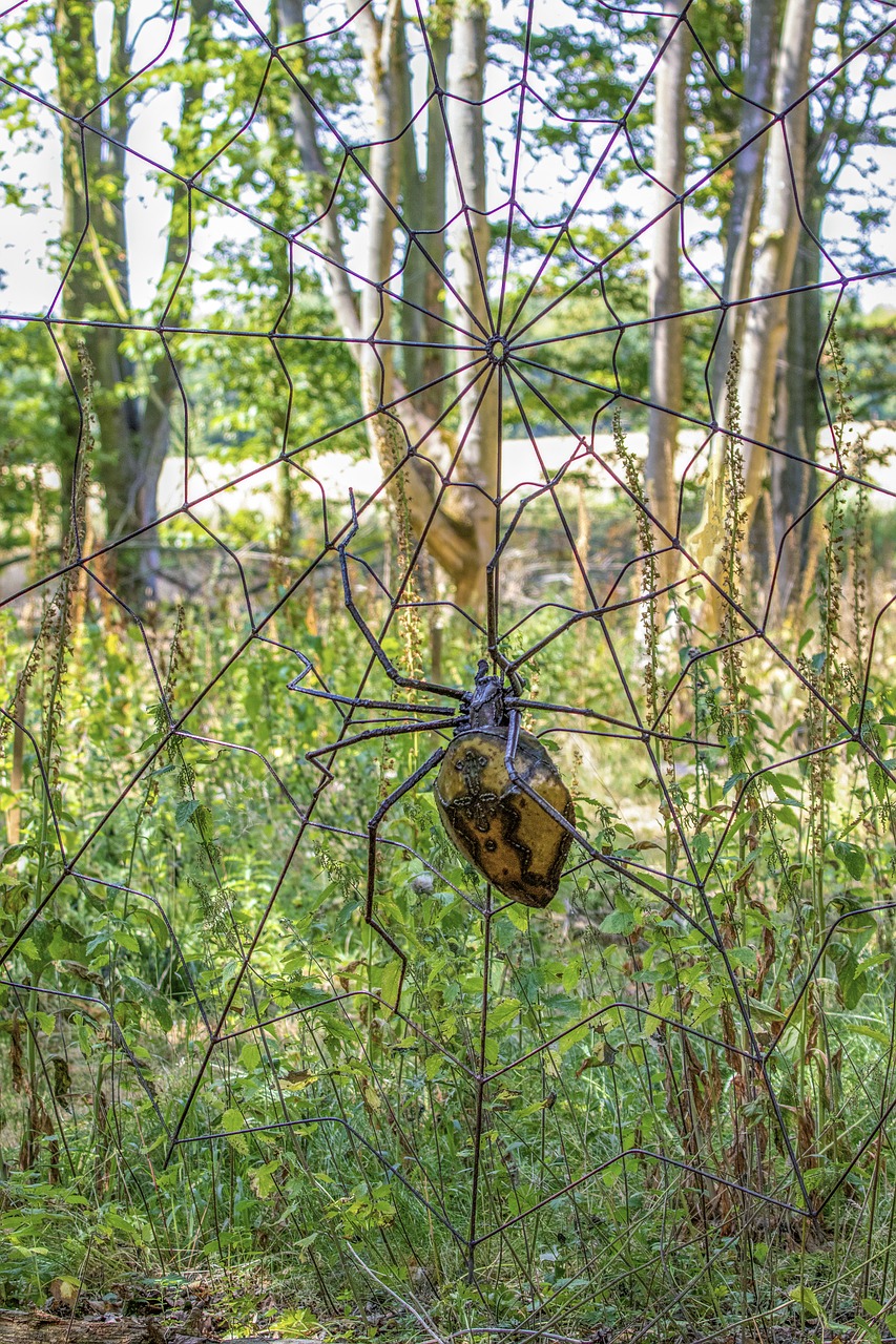 spider  art  installation free photo