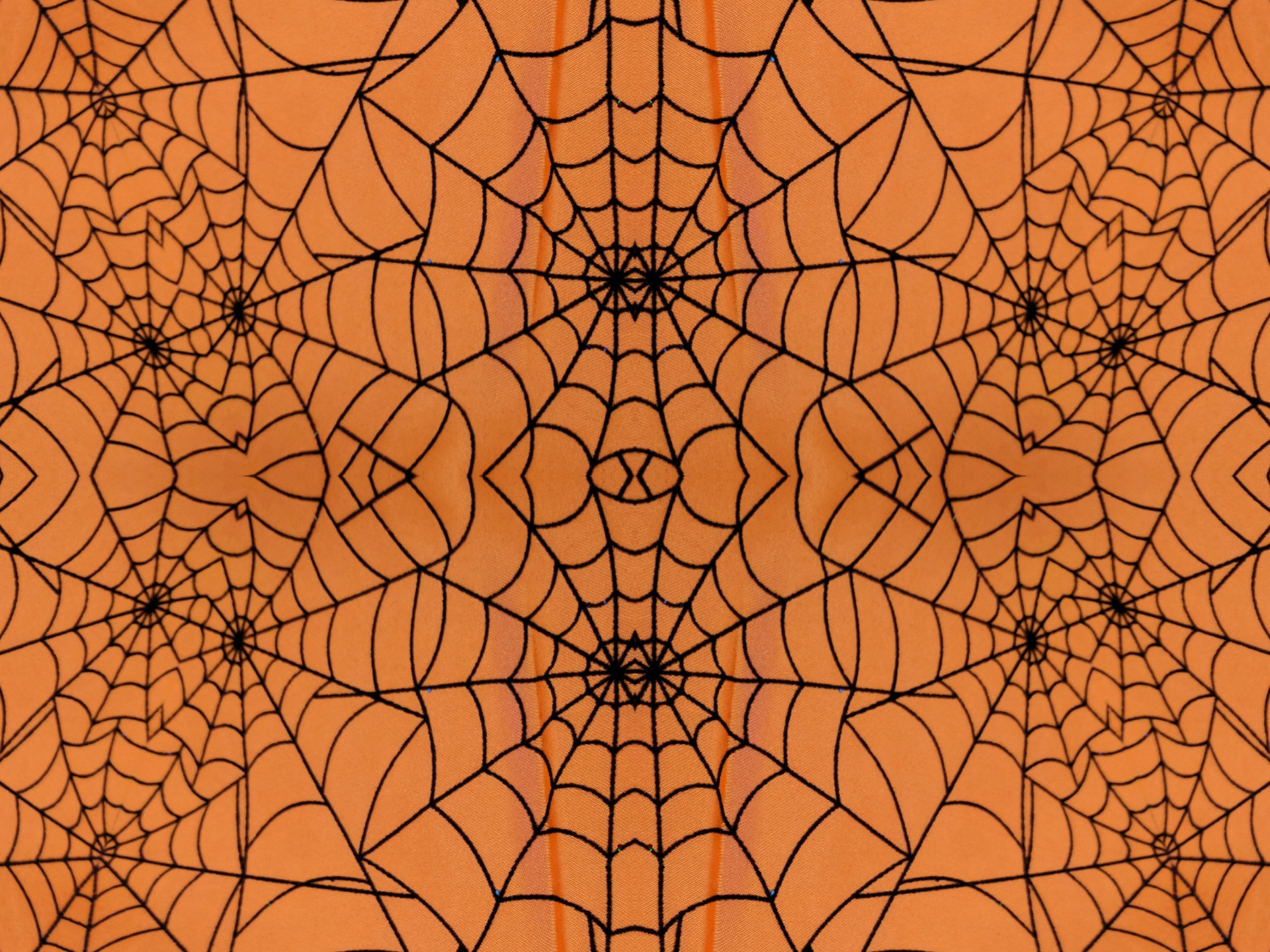 Download free photo of Halloween,background,wallpaper,spider webs,webs -  from 