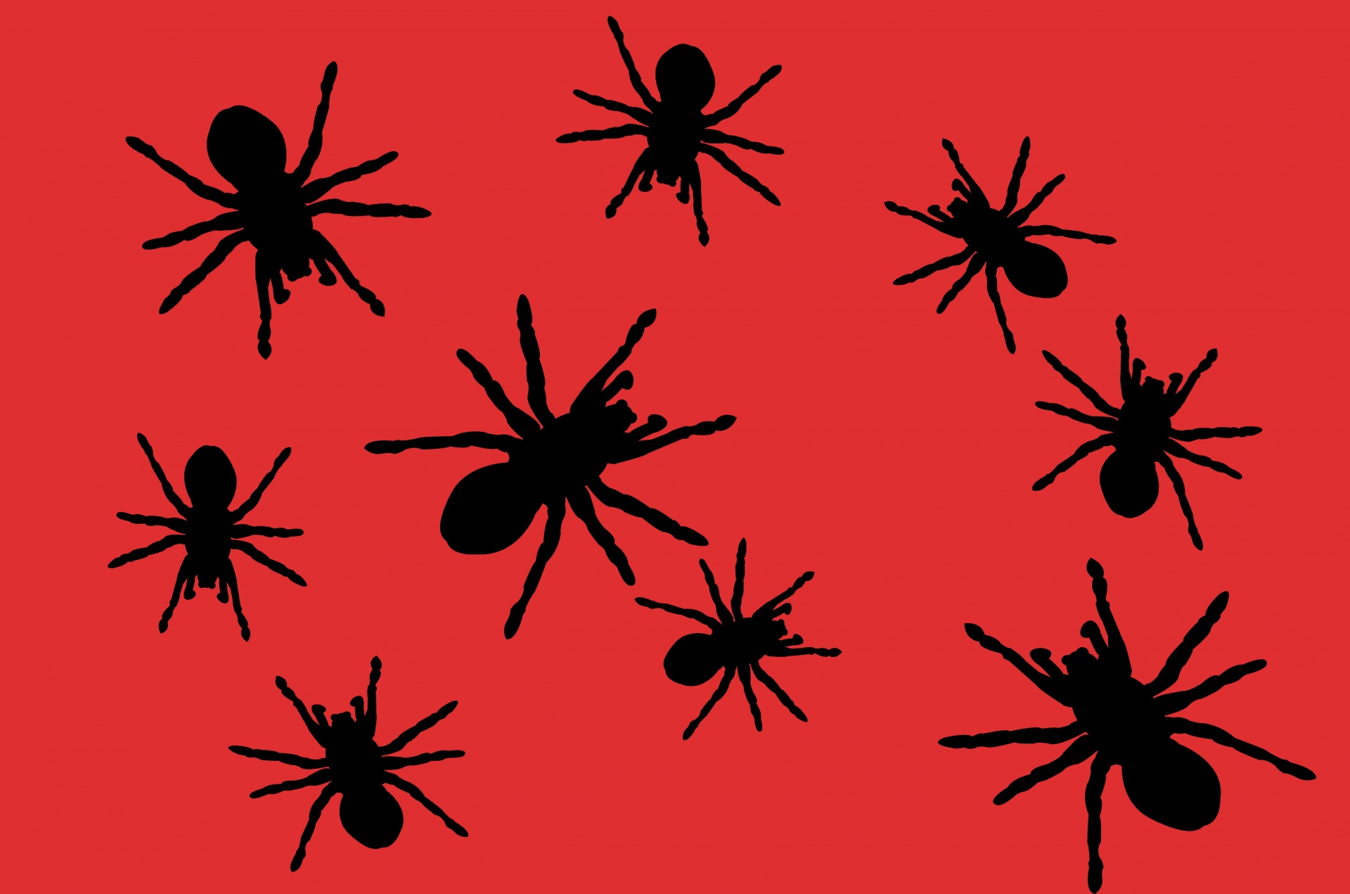 spider halloween symbol free photo