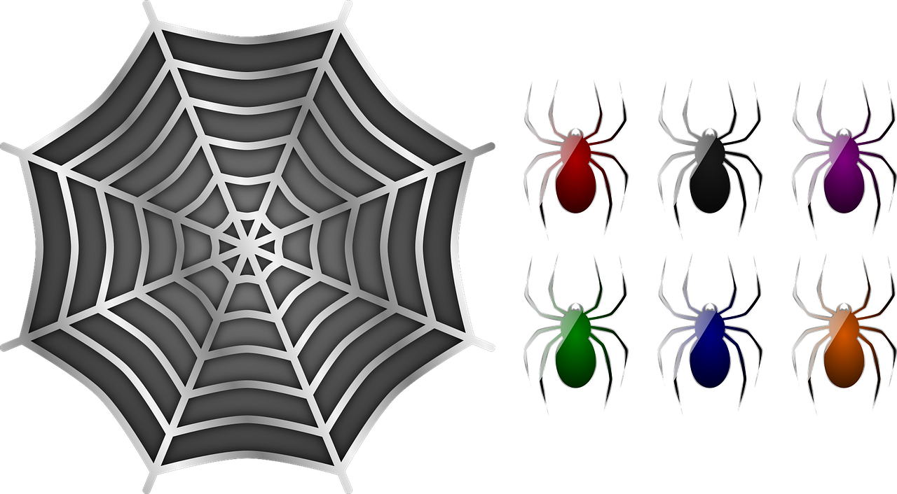 spiders spider web free photo