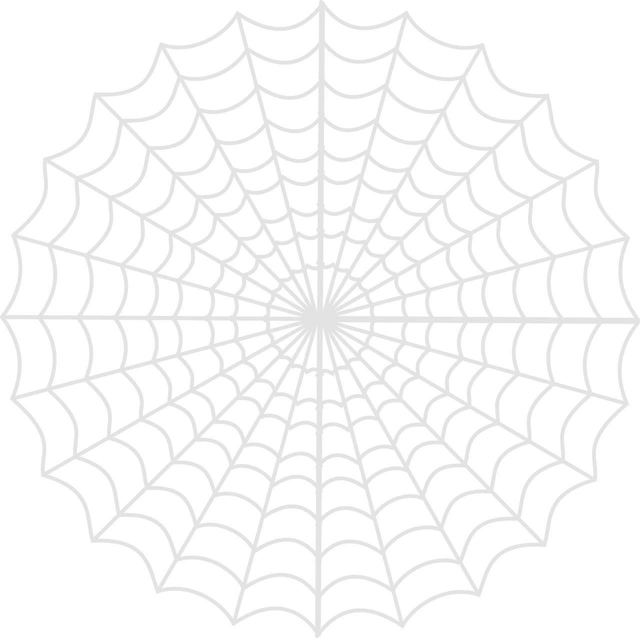 spiders web gray light free photo