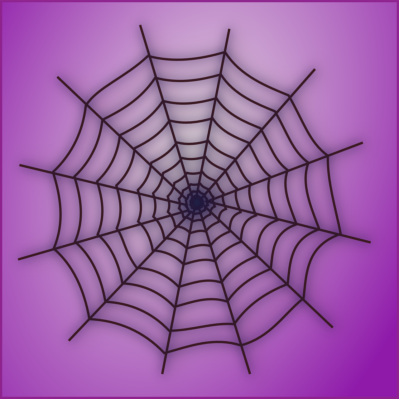 spider's web cobweb symmetric free photo