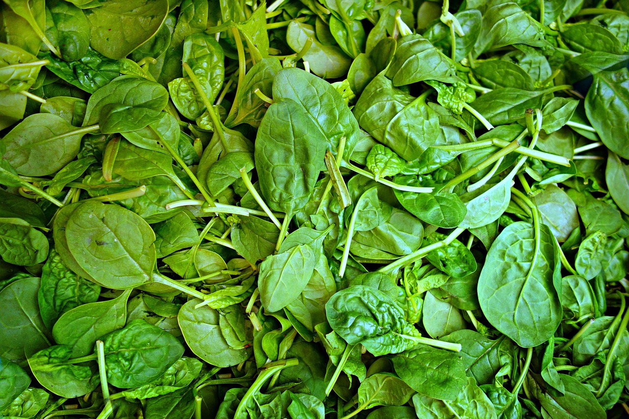 spinach vegetable fresh vegetable free photo