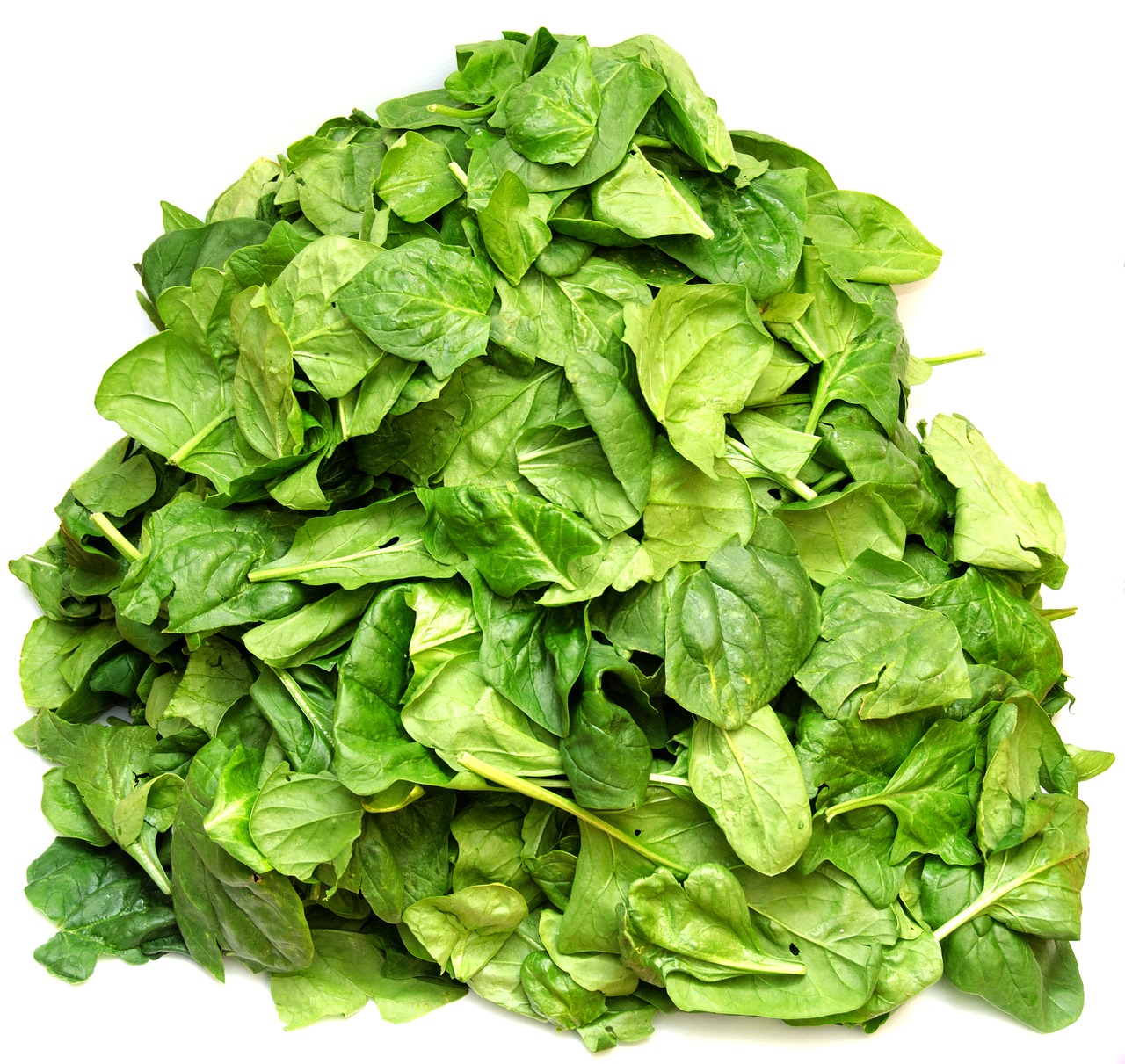 spinach vegetables green free photo