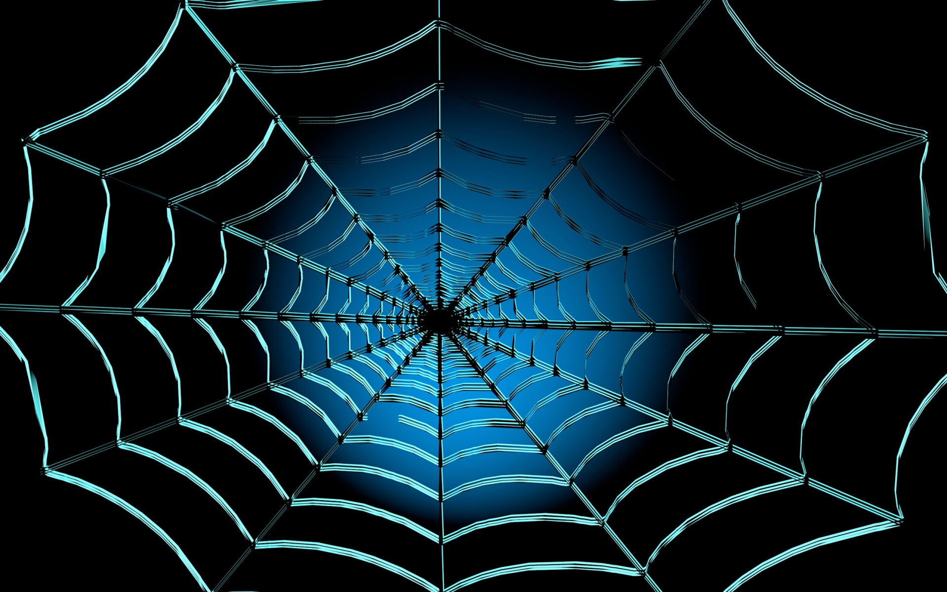 spider web web background free photo