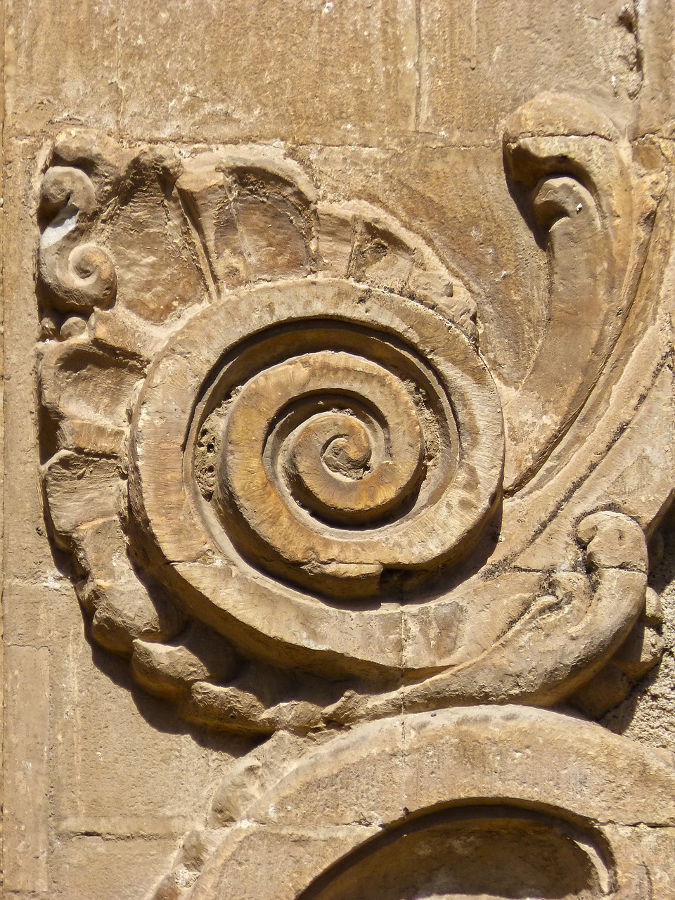 spiral snail carved stone free photo